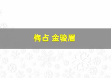 梅占 金骏眉